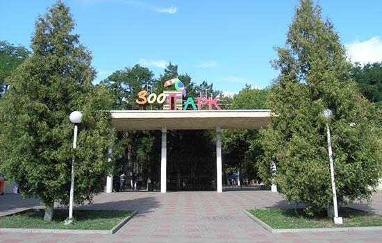 Животные Ростовского зоопарка страдают от неправильного питания