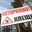 Атака клещей на Ростовскую область продолжается