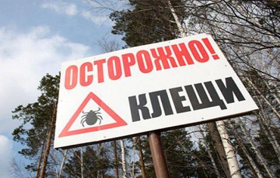 Атака клещей на Ростовскую область продолжается